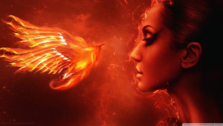 fenix-wallpaper-1920x1080
