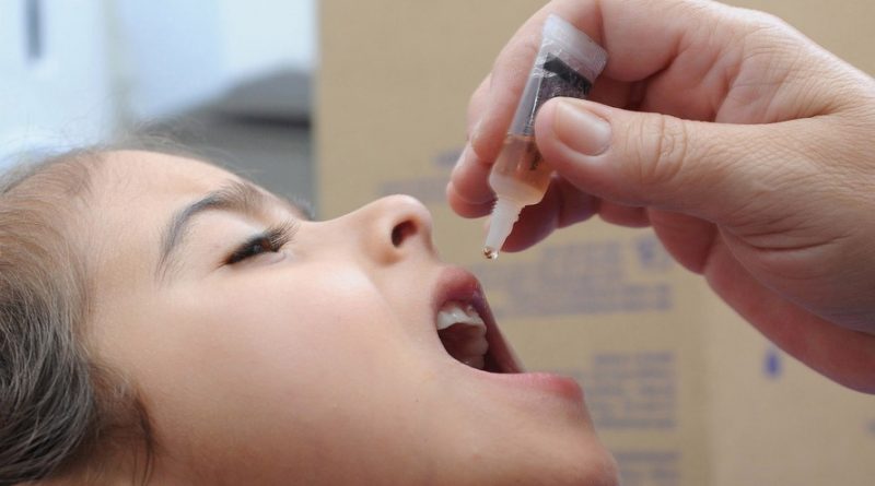 10551d7b-5f89827217e03-polio-sesa-800x445