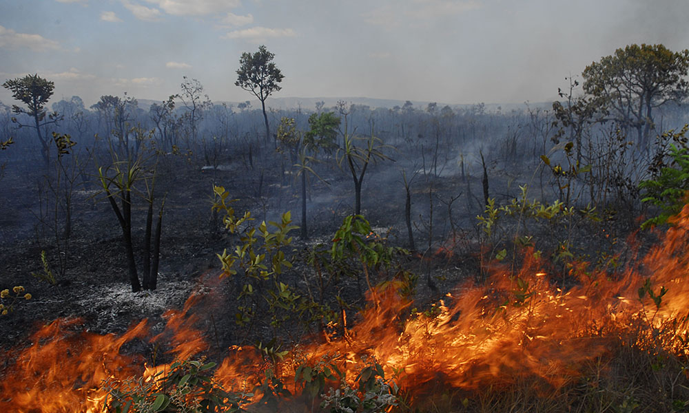Alto Paraíso - (GO)  Incêndio destrói vegetação nativa na Chapada dos Veadeiros, às margens da Rodovia GO-239