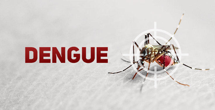 Dengue-1