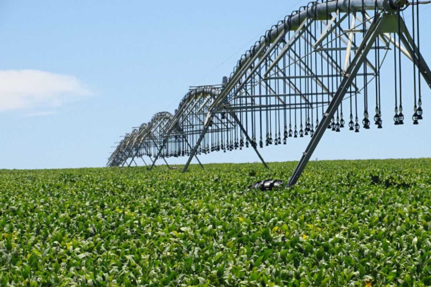Produção Agricola, lavoura, plantação Foto Semagro
