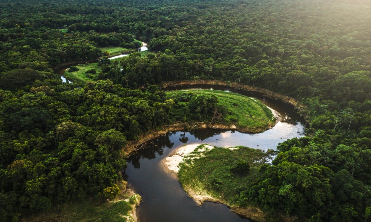 Amazônia-brasileira-1