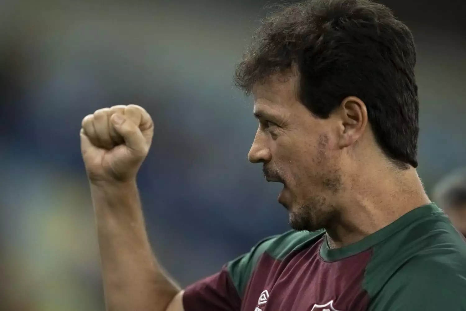 Fernando-Diniz