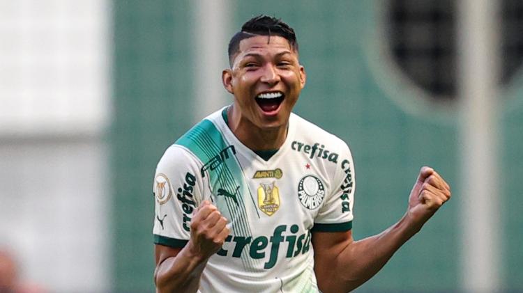 ronypalmeiras-57-488---5544558-