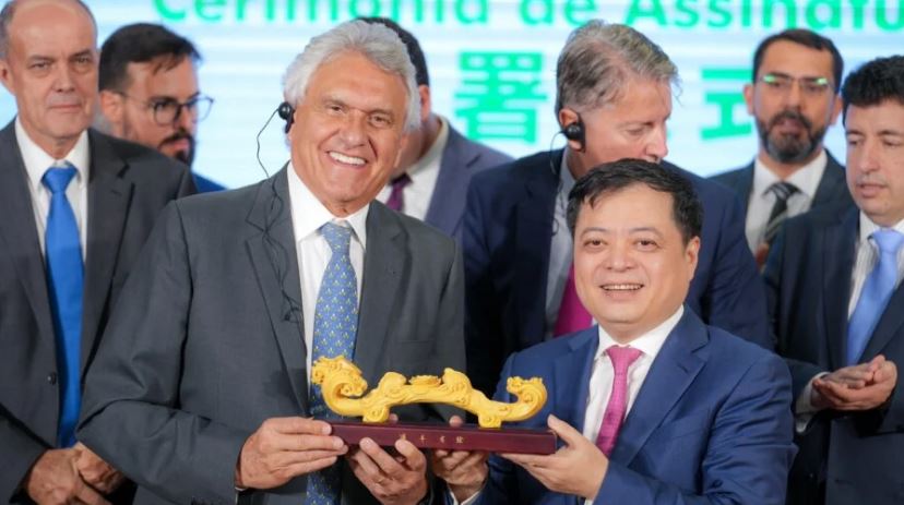 Caiadochina-754541