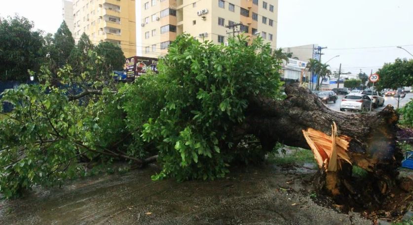 Goiania-chuva-7477