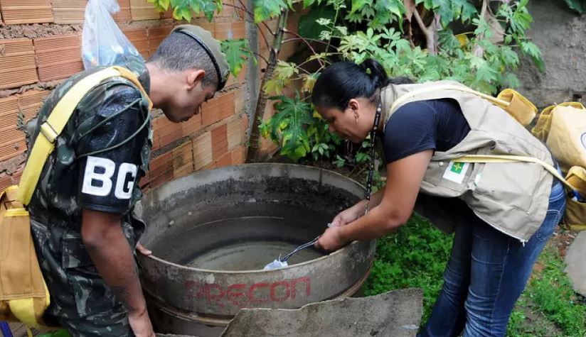 DF-dengue-564