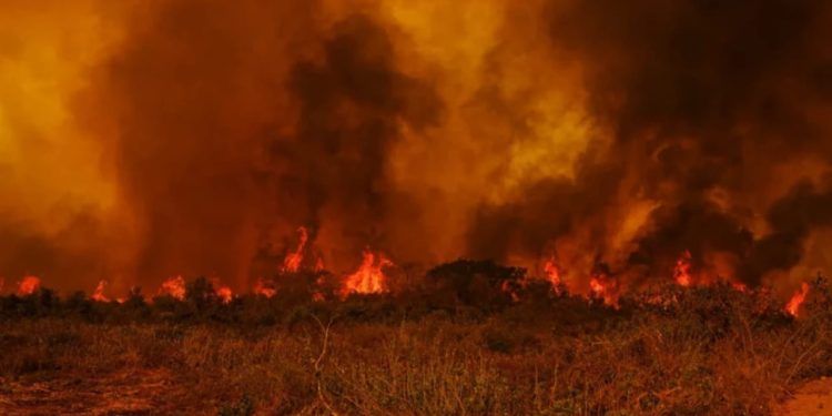 queimadas-atingem-areas-de-agricultura-e-pecuaria-com-prejuizos-de-milhoes-750x375