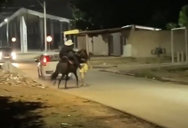 Cavalo-455564