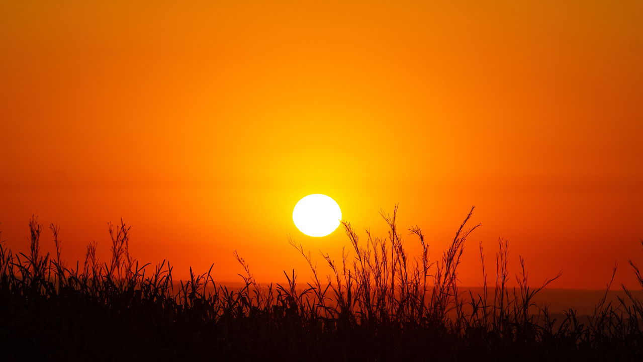 climate-goias-brasil_1726815912301