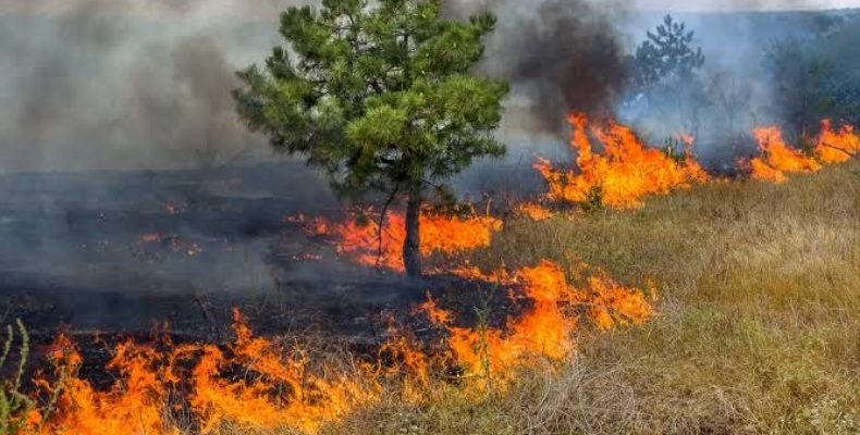queimadas-risco-ambiental