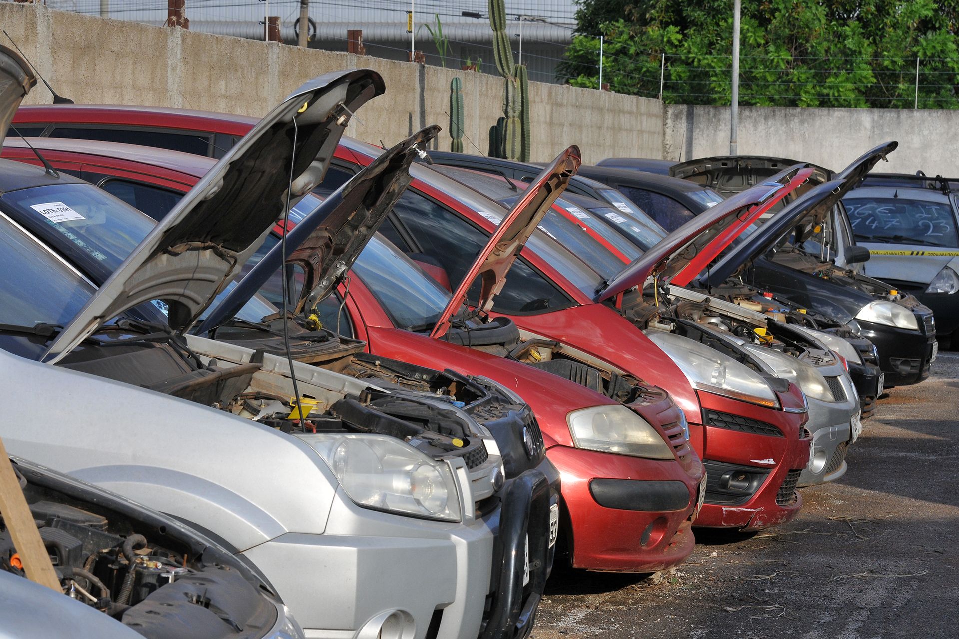 23.05.2019-Detran-realiza-leilao-de-sucata-e-veiculos-em-condicoes-de-circular.-Foto-Renato-Araujo-Agencia-Brasilia-2