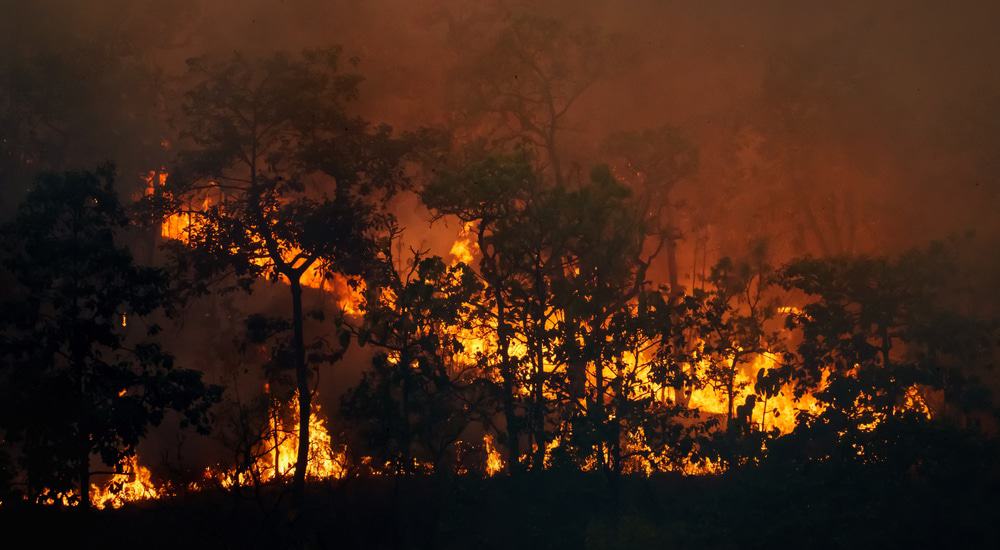 incendio-california