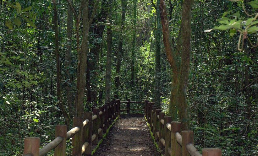 Parque-br