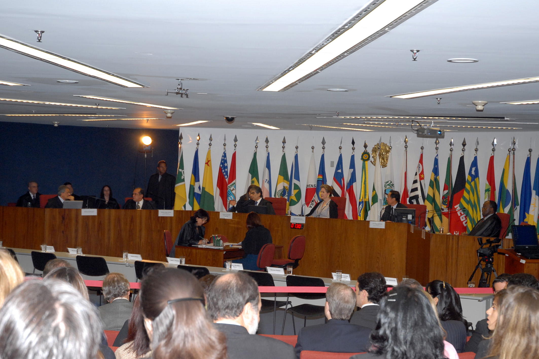 Audiencia-publica-celulas-tronco
